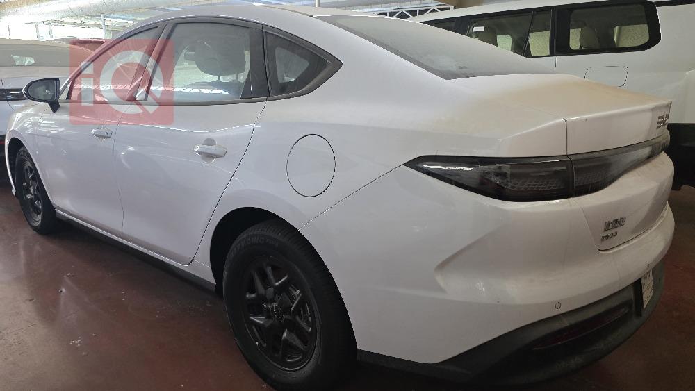 بي واي دي سيل 05 DM-i